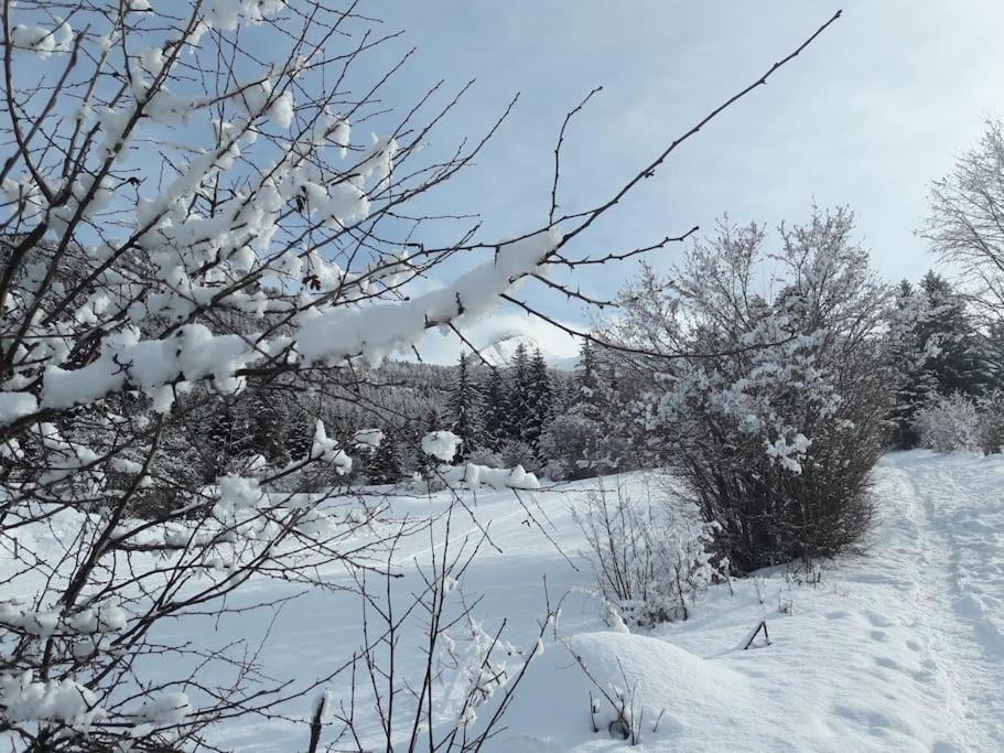 Appartement Duplex 59M2 - Proche Centre - Balcon Plein Sud à Corrençon-en-Vercors Extérieur photo