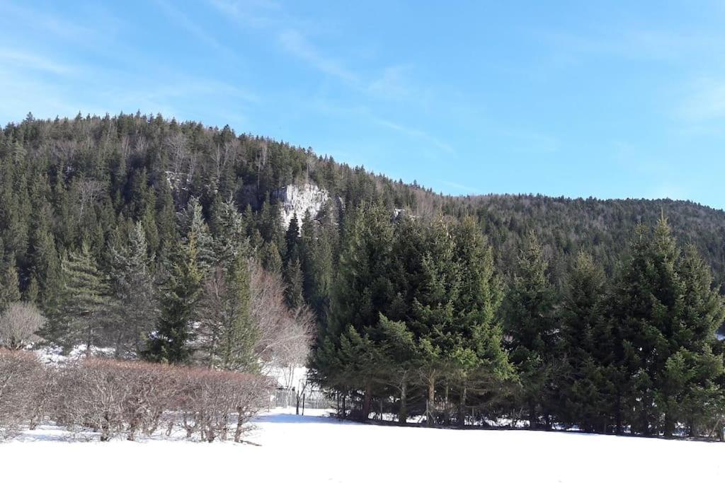 Appartement Duplex 59M2 - Proche Centre - Balcon Plein Sud à Corrençon-en-Vercors Extérieur photo