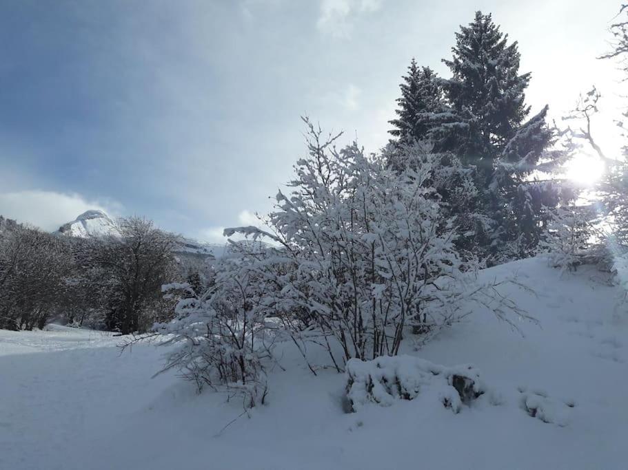 Appartement Duplex 59M2 - Proche Centre - Balcon Plein Sud à Corrençon-en-Vercors Extérieur photo